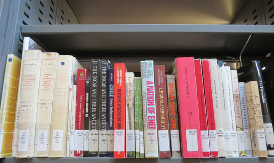 مجموعة من الكتب الأمريكية اللاتينية فى مكتبة الإسكندرية  -اليوم السابع -7 -2015